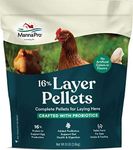 Manna Pro 1000848 667851 16-Percent Layer Pellets, 8 lb