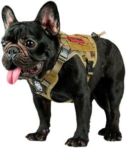 Tactical D