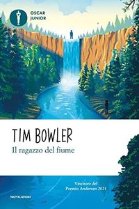 Il ragazzo