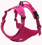 Truelove Dog Harness TLH5651 No-pull Reflective Stitching Ensure Night Visibility, Outdoor Adventure Big Dog Harness Perfect Match Puppy Vest (Fushcia,L)