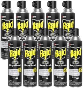 Raid Wasp 