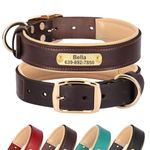 Didog Personalized Dog Collar with Name Plate, Custom Dog Collar with Name and Phone Number, Padded Genuine Leather Dog Collars for Large Dogs, Brown, L