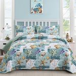 DJY Nautical Quilt Set Queen Coastal Beach Pattern Quilt Coverlet Set Coastal Seastar Bedspread with 2 Pillow Shams 3 Pieces Nautical Bedding Quilt Set for All Season 90"x 96"