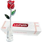LovFaith 25th Anniversary Silver Trimmed Real Red Rose with Crystal Stand, Best Forever Fresh-Cut Rose Gift for Her Wife Valentines Day Birthday