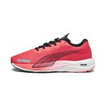 Puma Mens Velocity Nitro 2 Fire Orchid-Black Running Shoe - 8 UK (19533716)