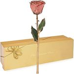 Forever Rose, a Genuine, One of a Kind, Real Pink Rose, Hand Dipped in Lacquer and Trimmed in 24K Gold