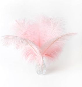 Ballinger Pink Big Ostrich Feathers - 12Pcs 14-16inch Large Feathers for Tall Vase,Mardi Gras Party Centerpieces and Holiday Home Decor