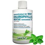 Liquid Chlorophyll Mint 5X Concentrated 500ml – Cold Extracted from Non-GMO Alfalfa - Detox - Alkaline - Natural Body Deodorant – Antioxidant - Made in Canada