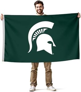 Michigan State Spartans 3' x 5' College Sports Printed Flag - NCAA Licensed - Nylon - School Banner (Green)