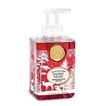 Michel Design Works Snowy Night Foaming Shea Butter Hand Soap 17.8 Fl Oz