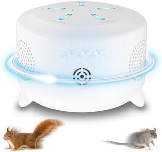 Mice Rat R