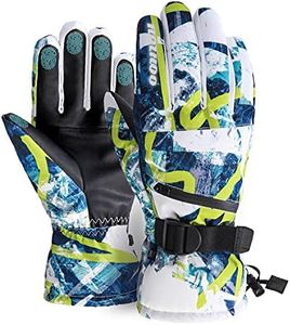 Ski Gloves