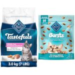 Blue Buffalo Sensitive Stomach Natural Adult Dry Cat Food, Chicken and Brown Rice 3.1kg bag - Medium Bag, kibble & Bursts with Savory Seafood Cat Treats, 141g Pouch