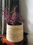 Party Stuff Handcrafted Woven Round Floral Pots Bag Natural Jute & Cotton Plant Bag Pot Bags for All Plants Home Room Hall Decor Indoor Outdoor Plant Sack (8x8 inches)