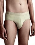 DAMENSCH Men's Regular Fit Premium Polyamide Brief Synthetic Fabric Anti-Bacterial Super Soft Solid Brief Underwear Pack of 1-Beryl Green-M