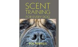 Scent Training For Every Dog