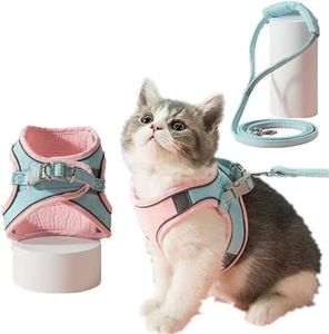 Cat Harnes