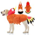 BWOGUE Large Dog Turkey Costume,Dog Thanksgiving Costume Winter Warm Pet Clothes Apparel for Thanksgiving Cosplay Dress Up Fit for Medium to Large Dogs