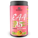 NATURYZ EAA X5 Intra workout Supplement for Men & Women | 9 Essential Aminos | Vegan BCAA’s | Pre Workout Nitric Oxide Boosters | Muscle Growth & Recovery | Hydration Blend | Vitamins & Minerals - 400g( Mango Flavour)