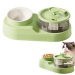 Qpets Cat Food Bowls, 2 In 1 Cat Food Feeder And Water Dispenser, Cat Feeding Bowl For Small And Medium Pets Cats Puppies, Polypropylene, 35.5 X 19.5 X 5.1 Cm