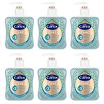 Carex Advanced Care Sea Minerals Antibacterial Hand Wash, 3x More Moisturisers, Clean & Protect Hands, Bulk Buy, Pack of 6 x 250ml