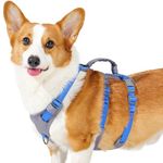 Huntboo Escape Proof Dog Harness Medium, Anti-Pull Dog Harness with Handle, Breathable, Adjustable, Reflective Dog Harnesses, Lightweight Dog Harness for Small and Large Dogs Outdoor (Sea Blue,M)