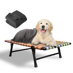 PETSAPIENS Folding Elevated Dog Bed Small Size with Blanket (36x24x8 Inch)| All-Seasons ComfortI Breathable Nylon Mesh | Cot Bed for Dogs and Cats I Anti-Skid and Waterproof Bed for Dogs |Multicolor