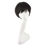 MapofBeauty Fashion Women Men Double Tail Straight Hair Cosplay Braided Wig (Black)