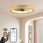 WenineStar 20” Ceiling Fan with Lig