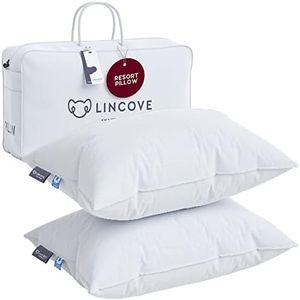 Lincove Do