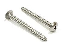 #10 x 2 Stainless Truss Head Phillips Wood Screw (100pc) 18-8 (304) Stainless Steel Screws by Bolt Dropper