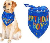 Dog Birthday Bandana,Dog Birthday B