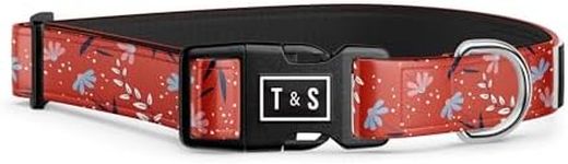 Tella & Stella - Adjustable & Waterproof Dog Collar for Medium Dog - 13" to 18" - Made with Silicone - Lined with Neoprene for Comfort - Chrome D Ring for Hooking The Leash(Livia,Medium)