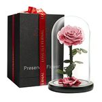 LOVAPPY Preserved Forever Rose in Glass Dome for Her - Beauty and The Beast Eternal Rose - Flowers Birthday Gifts for Women, Gifts for Girlfriend & Gifts for Mom (Pink, 9 inch)