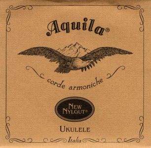 Aquila 21U
