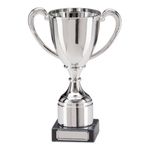 Trophy 200mm Huntingdon Cup Award Silver with Free Engraving up to 45 Letters TRD/TR3098C