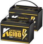 2Pack 12V 100Ah BCI Group 31 LiFePO