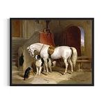 Horse Art Print for Home Decor, Vit