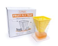 Fruit Fly Trap Ever