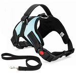 Musonic No Pull Dog Harness Breathable Adjustable Comfort Free Leash Included for Small Medium Large Dog Best for Training Walking S LightBlue