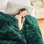 Cottonblue Weighted Blanket 20lbs Queen Size, Flannel Shaggy Sherpa Weighted Blanket for Adults Comfortable Weighted Blankets for Calming and Relax, Bed Sofa Heavy Blankets, 60x80 inches, Green