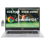 ASUS Chromebook 17.3" FHD Laptop, Intel Celeron N4500 Processor, 4GB LPDDR4X RAM, 64GB eMMC, Intel UHD Graphics, HD Webcam, WiFi 6, Chrome OS, Silver, 128GB Hotface USB Card