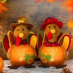 Ogrmar 2 Pack LED Turkey Couple Doll Thanksgiving Tabletop Decoration Exquisite Handmade Turkey Doll Kit, Autumn Fall Home Decor