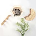 3-Piece Cat Wall Furniture Set - Hammock, Hexagon House, Climbing Steps - Wall Mounted Shelves, Perches, and Beds - Modern Design for Large Cats and Kittens & Spare Hammock Fabric Included