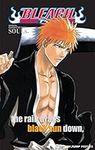 Bleach SOULs. Official Character Bo