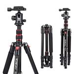 Camera Tripod, BONFOTO B690A Compact Lightweight Aluminum Travel Tripod with 360 Degree Ball Head,1/4" Quick Release Plate and Carry Bag