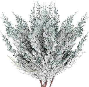 6 Pieces Frosted Artificial Cedar Pine Branches Sprigs 17" Snowy Faux Cedar Twig White Winter Greenery Stems Pine Picks Cedar Spray for Christmas Tree Craft Wreaths Garlands Holiday Season Decor (6)