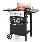 GREEN PARTY 2 in 1 Propane Gas BBQ 