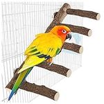 Parrot Wood Stand, 12.2Inch Length 