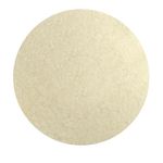 12" Polish Orbiter Pad 437.051 (Single Unit, White) Compatible with Oreck 550MC Orbiter Floor Equipment. Works on Tile, Concrete, Vinyl Surfaces - Polishing Solution